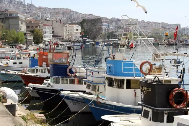 Bodrum'u ihya eden 'kısıtlama turizmi' Sinop'a uğramadı Bodrum'u ihya eden 'kısıtlama turizmi' Sinop'a uğramadı