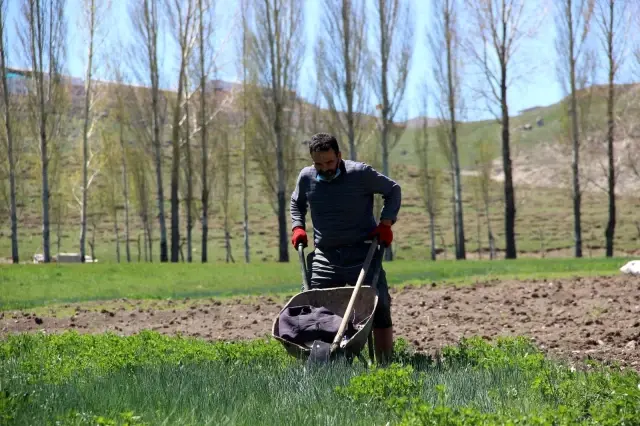 Bozkırın ortasında dededen toruna bırakılan en güzel miras Bozkırın ortasında dededen toruna bırakılan en güzel miras