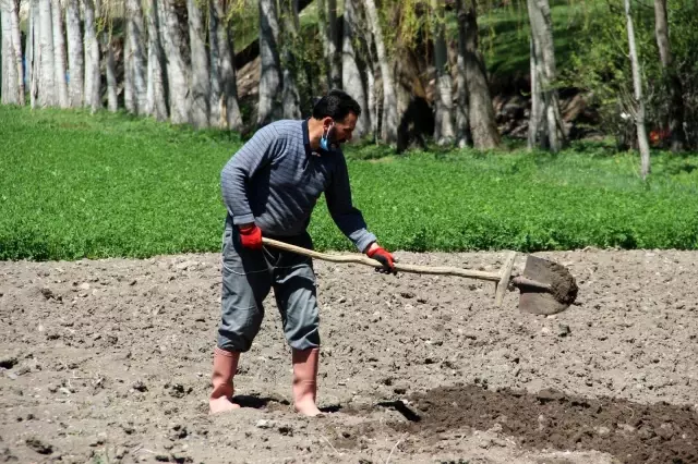 Bozkırın ortasında dededen toruna bırakılan en güzel miras Bozkırın ortasında dededen toruna bırakılan en güzel miras
