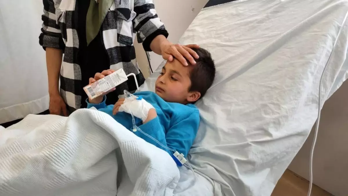 Kozalak toplamak için çıktığı ormanda kaybolan minik Kerem'in sağlık durumu iyi