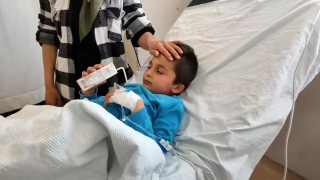 Kozalak toplamak için çıktığı ormanda kaybolan minik Kerem'in sağlık durumu iyi Kozalak toplamak için çıktığı ormanda kaybolan minik Kerem'in sağlık durumu iyi