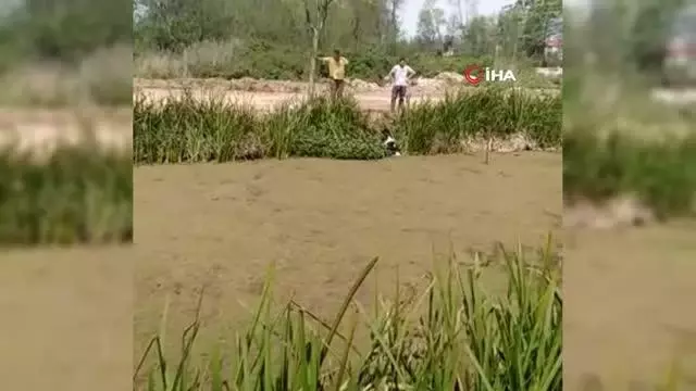 Büyükbaş hayvan bir haftada ikinci kez kanala düştü Büyükbaş hayvan bir haftada ikinci kez kanala düştü