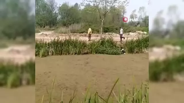 Büyükbaş hayvan bir haftada ikinci kez kanala düştü Büyükbaş hayvan bir haftada ikinci kez kanala düştü