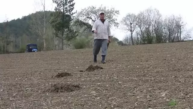 Çiftçilerin 'köstebek' mücadelesi Çiftçilerin 'köstebek' mücadelesi