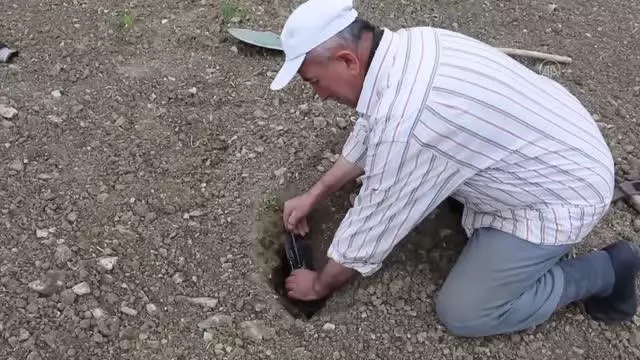 Çiftçilerin 'köstebek' mücadelesi Çiftçilerin 'köstebek' mücadelesi