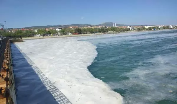 TEKİRDAĞ DENİZ SALYALARI TEKİRDAĞ SAHİLLERİNİ YENİDEN KAPLADI TEKİRDAĞ DENİZ SALYALARI TEKİRDAĞ SAHİLLERİNİ YENİDEN KAPLADI