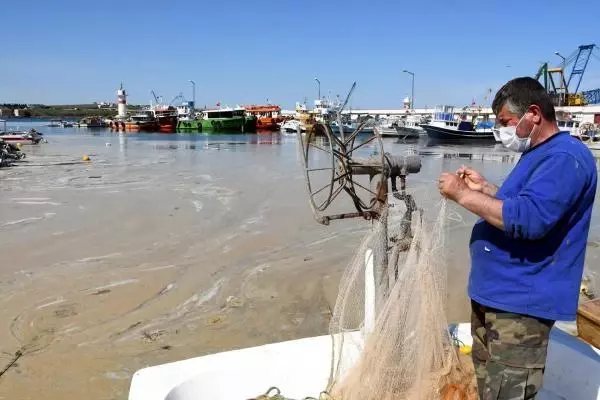 TEKİRDAĞ DENİZ SALYALARI TEKİRDAĞ SAHİLLERİNİ YENİDEN KAPLADI TEKİRDAĞ DENİZ SALYALARI TEKİRDAĞ SAHİLLERİNİ YENİDEN KAPLADI