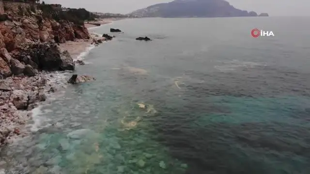 Deniz salyası kabusu tatil bölgesi Antalya'ya da ulaştı Deniz salyası kabusu tatil bölgesi Antalya'ya da ulaştı