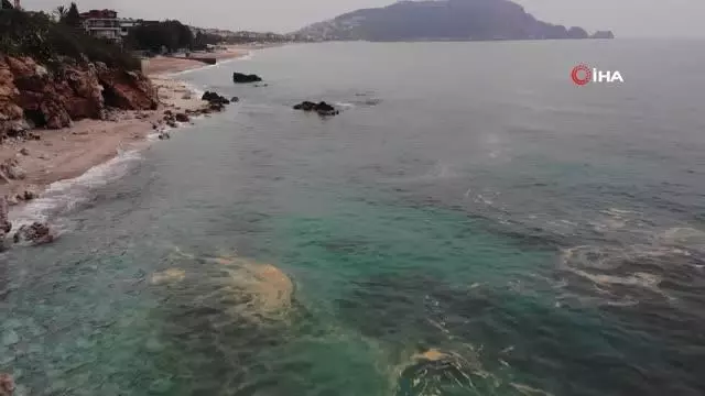 Deniz salyası kabusu tatil bölgesi Antalya'ya da ulaştı Deniz salyası kabusu tatil bölgesi Antalya'ya da ulaştı