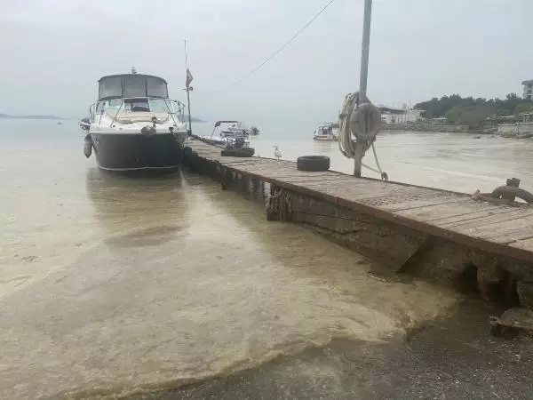 Deniz salyasıyla gelebilecek büyük tehlike Deniz salyasıyla gelebilecek büyük tehlike