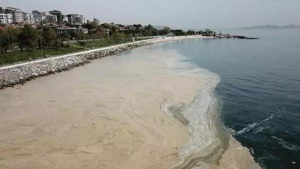 Deniz salyasıyla gelebilecek büyük tehlike Deniz salyasıyla gelebilecek büyük tehlike