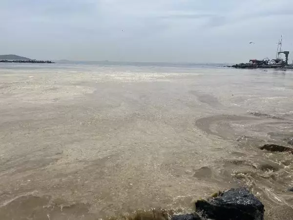 Deniz salyasıyla gelebilecek büyük tehlike Deniz salyasıyla gelebilecek büyük tehlike