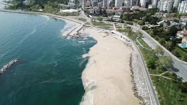 Deniz salyasıyla gelebilecek büyük tehlike Deniz salyasıyla gelebilecek büyük tehlike