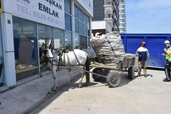 EDİRNE'DE, AT ARABASINA MOTOSİKLETLE ÇARPAN KURYE YARALANDI EDİRNE'DE, AT ARABASINA MOTOSİKLETLE ÇARPAN KURYE YARALANDI