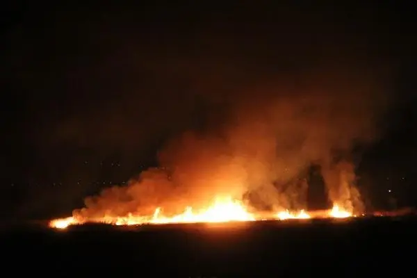 Erzincan'da kuş cenneti alev alev yanıyor Erzincan'da kuş cenneti alev alev yanıyor