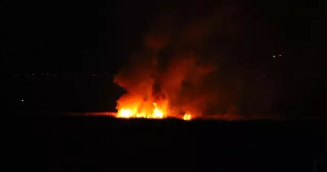 Koruma altındaki Ekşisu Sazlık Alanı'nda yangın çıktı Koruma altındaki Ekşisu Sazlık Alanı'nda yangın çıktı