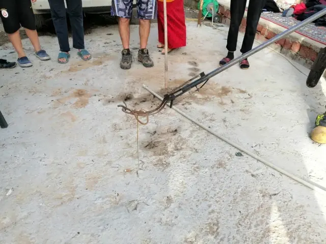 Eve giren yılan korkuttu Eve giren yılan korkuttu