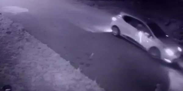 Evin önünde bağlı köpeği silahla yaralayan 2 şüpheli serbest Evin önünde bağlı köpeği silahla yaralayan 2 şüpheli serbest