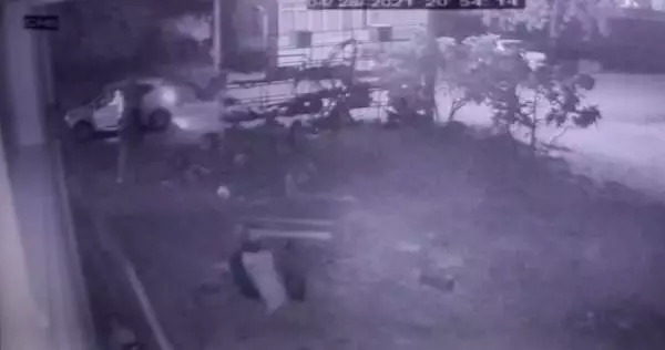 Evin önünde bağlı köpeği silahla yaralayan 2 şüpheli serbest Evin önünde bağlı köpeği silahla yaralayan 2 şüpheli serbest