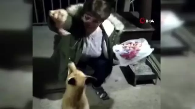 Evine gelen tilkiyi elleriyle besliyor Evine gelen tilkiyi elleriyle besliyor