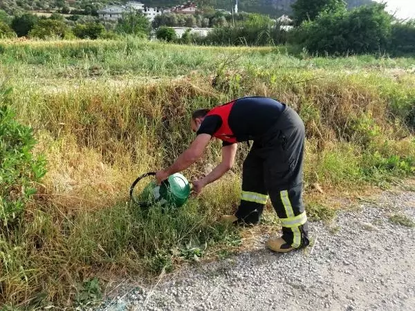 Fethiye'de eve giren yılan paniğe neden oldu Fethiye'de eve giren yılan paniğe neden oldu