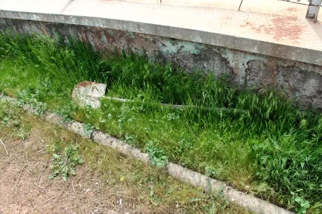 Harabeye dönen Cebeci İnönü Stadyumu, yıkılacağı günü bekliyor Harabeye dönen Cebeci İnönü Stadyumu, yıkılacağı günü bekliyor