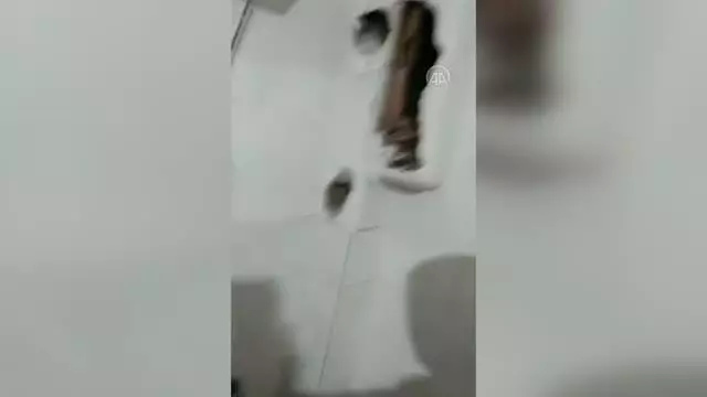Havalandırma bacasında mahsur kalan kedi yavrusu kurtarıldı Havalandırma bacasında mahsur kalan kedi yavrusu kurtarıldı