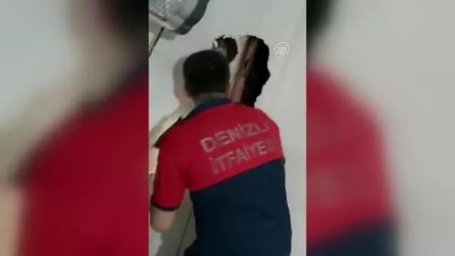 Havalandırma bacasında mahsur kalan kedi yavrusu kurtarıldı Havalandırma bacasında mahsur kalan kedi yavrusu kurtarıldı