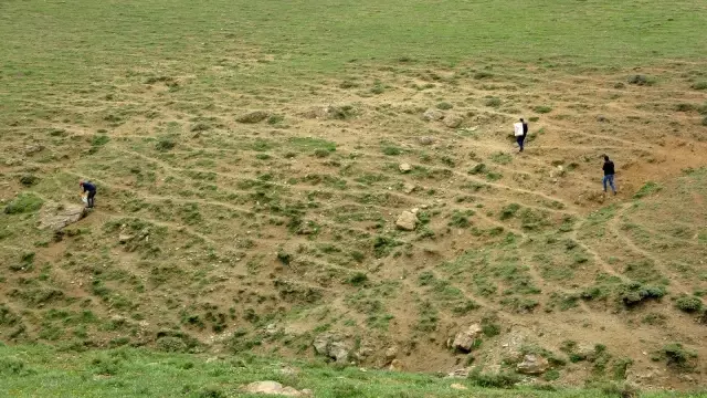 Hayvanlar için doğaya yem bırakıldı Hayvanlar için doğaya yem bırakıldı