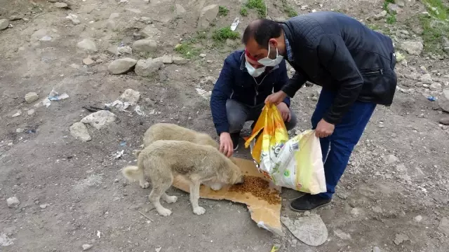 Hayvanlar için doğaya yem bırakıldı Hayvanlar için doğaya yem bırakıldı