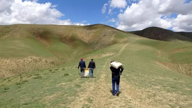Hayvanlar için doğaya yem bırakıldı Hayvanlar için doğaya yem bırakıldı