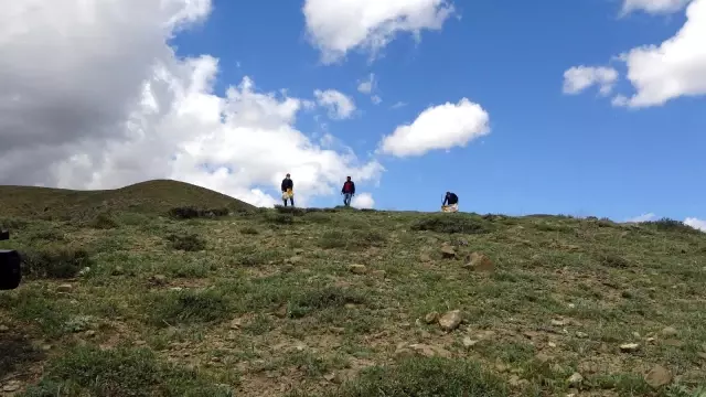 Hayvanlar için doğaya yem bırakıldı Hayvanlar için doğaya yem bırakıldı