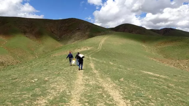 Hayvanlar için doğaya yem bırakıldı Hayvanlar için doğaya yem bırakıldı