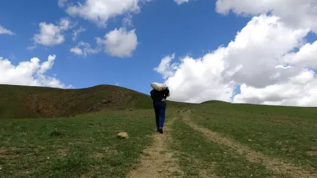 Hayvanlar için doğaya yem bırakıldı Hayvanlar için doğaya yem bırakıldı