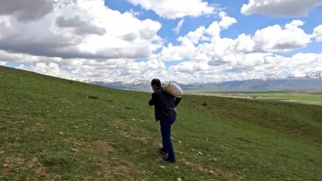 Hayvanlar için doğaya yem bırakıldı Hayvanlar için doğaya yem bırakıldı