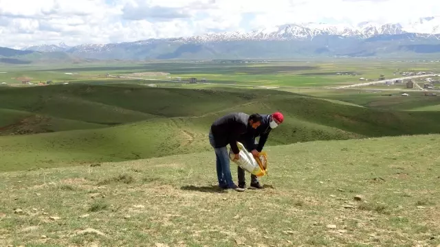 Hayvanlar için doğaya yem bırakıldı Hayvanlar için doğaya yem bırakıldı