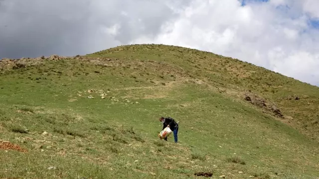 Hayvanlar için doğaya yem bırakıldı Hayvanlar için doğaya yem bırakıldı