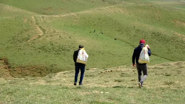 Hayvanlar için doğaya yem bırakıldı Hayvanlar için doğaya yem bırakıldı