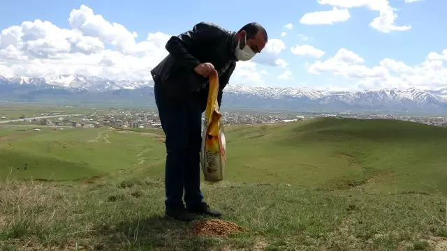 Hayvanlar için doğaya yem bırakıldı Hayvanlar için doğaya yem bırakıldı