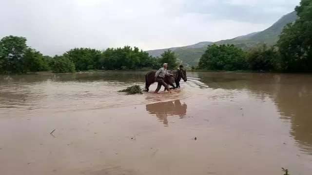 İlkel yöntemlerle çalışan çiftçiler iftar saatine kadar tarlalarını ekiyor İlkel yöntemlerle çalışan çiftçiler iftar saatine kadar tarlalarını ekiyor