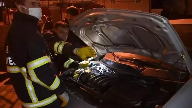 İtfaiye ekipleri ve mahalleli, otomobilin motor kısmına giren kedi yavrusu için seferber oldu İtfaiye ekipleri ve mahalleli, otomobilin motor kısmına giren kedi yavrusu için seferber oldu