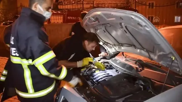 İtfaiye ekipleri ve mahalleli, otomobilin motor kısmına giren kedi yavrusu için seferber oldu İtfaiye ekipleri ve mahalleli, otomobilin motor kısmına giren kedi yavrusu için seferber oldu