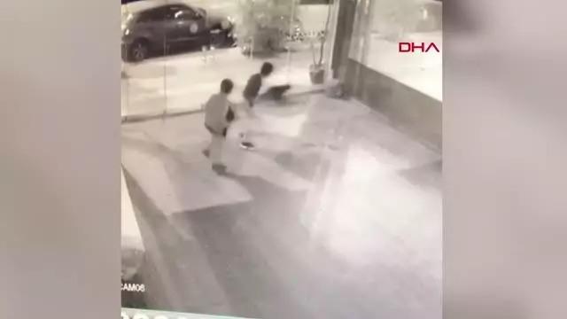 İZMİR İKİ ÇOCUĞUN KEDİYİ BAYILTANA KADAR DÖVMESİNE TEPKİ İZMİR İKİ ÇOCUĞUN KEDİYİ BAYILTANA KADAR DÖVMESİNE TEPKİ