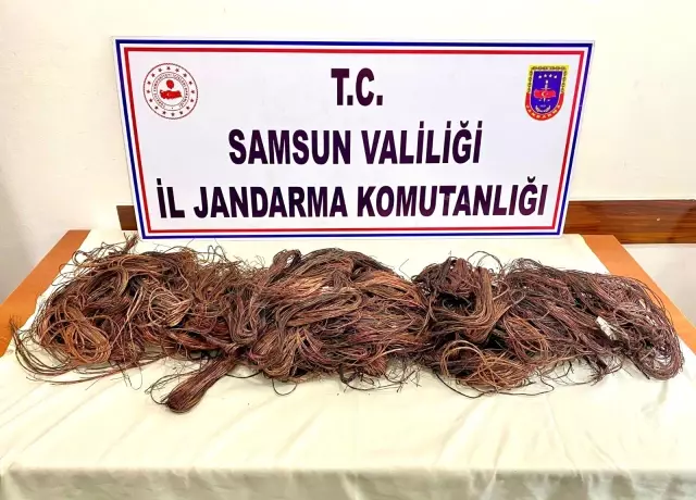 Kablo hırsızları suçüstü yakalandı Kablo hırsızları suçüstü yakalandı