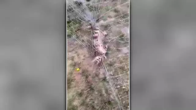 Kale ağına takılan kediyi itfaiye kurtardı Kale ağına takılan kediyi itfaiye kurtardı