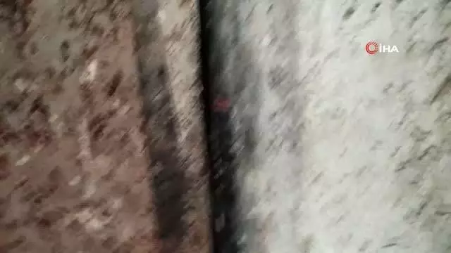 Kardeşinin mandırasını tüfekle basan ağabey böyle terör estirdi Kardeşinin mandırasını tüfekle basan ağabey böyle terör estirdi