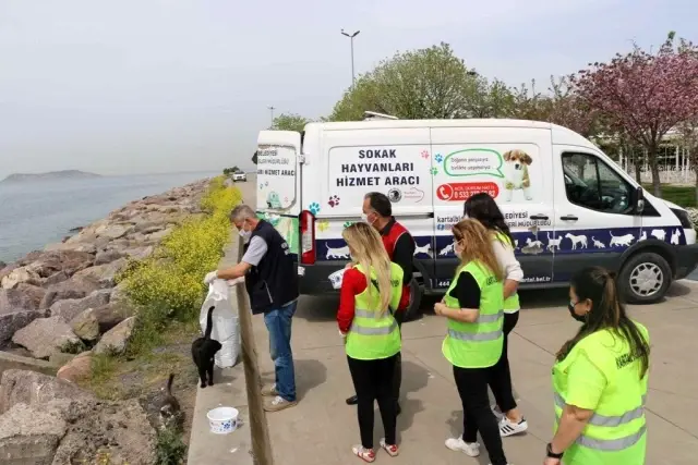 Kartal Belediyesi tam kapanma sürecinde de sokak hayvanlarının yanında Kartal Belediyesi tam kapanma sürecinde de sokak hayvanlarının yanında