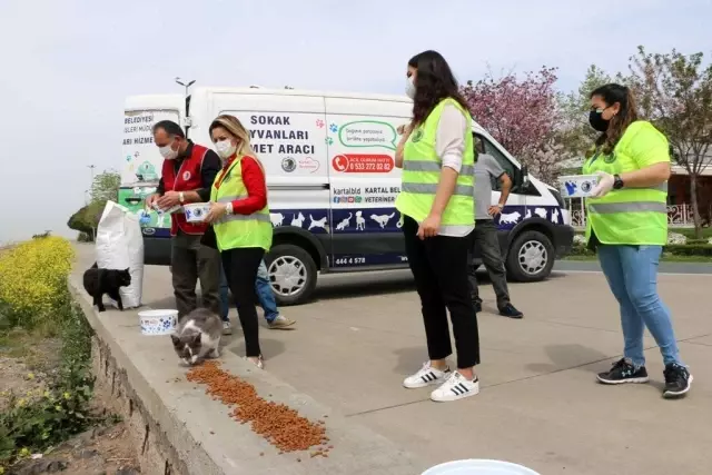 Kartal Belediyesi tam kapanma sürecinde de sokak hayvanlarının yanında Kartal Belediyesi tam kapanma sürecinde de sokak hayvanlarının yanında