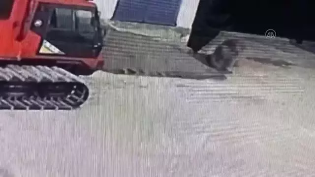 Son dakika haberi: KASTAMONU - Ilgaz Dağı'nda yemek arayan bozayı güvenlik kameralarınca görüntülendi Son dakika haberi: KASTAMONU - Ilgaz Dağı'nda yemek arayan bozayı güvenlik kameralarınca görüntülendi