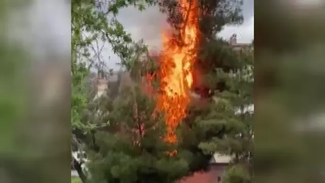 KIRIKKALE - Parkta çıkan yangın itfaiye ekiplerince söndürüldü KIRIKKALE - Parkta çıkan yangın itfaiye ekiplerince söndürüldü